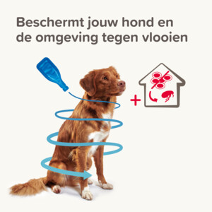 Beaphar Combotec Anti Teken- en Vlooiendruppels Hond 20-40 kg 2 pipetten