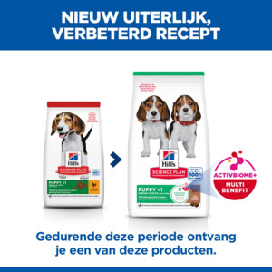Hill's Science Plan Hondenvoer Droog Medium Puppyvoer Lam en Rijst 14 kg