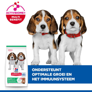 Hill's Science Plan Hondenvoer Droog Medium Puppyvoer Lam en Rijst 14 kg