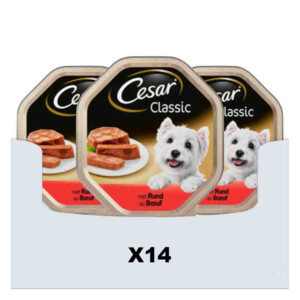 14x Cesar Alu Rund