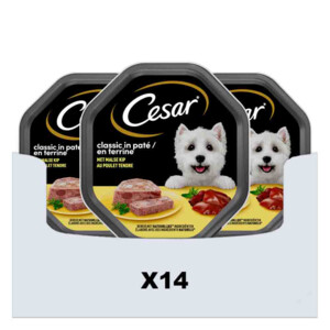 14x Cesar Alu Kip