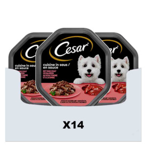 14x Cesar Cuisine in Saus Kuipje Kalf en Kalkoen