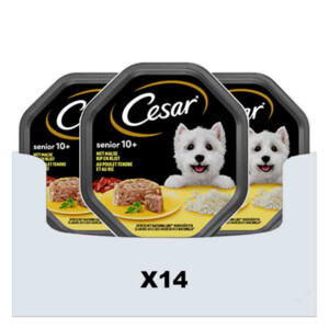 14x Cesar Senior in Gelei Kuipje Kip en Rijst