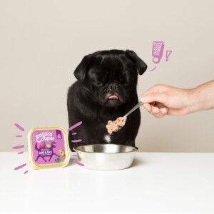 Edgard & Cooper Kuipje Vers Vlees Hondenvoer Wild - Eend 300 gr