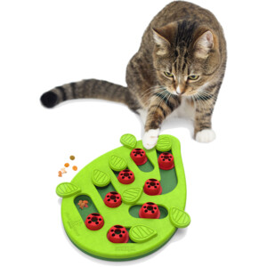Nina Ottosson Kattenspel Puzzle & Play Buggin Out 