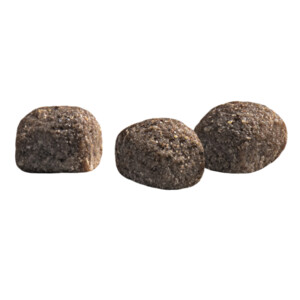 Prins Protection Croque Mini Basic Excellent Hondenvoer 10 kg