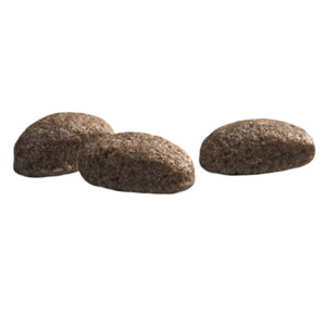 Prins Protection Croque Mini Hypoallergeen Lam Hondenvoer 2 kg