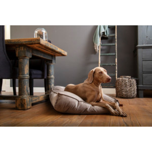Designed by Lotte Ligkussen Fluweel Nalino  Grijs 100 x 70 x 15 cm