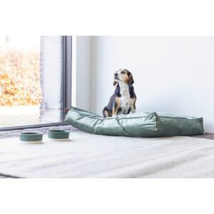 Designed by Lotte Ligkussen Fluweel Nalino  Groen 100 x 70 x 15 cm