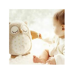 Cloud B Stay Asleep Buddies Nighty Night Owl - 15.49 euro