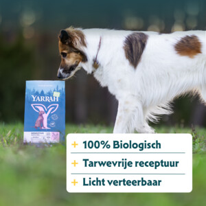 Yarrah Bio Hondenvoer Sensitive Adult Kip & Rijst 2 kg