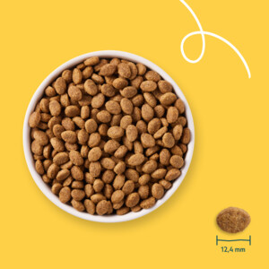 Yarrah Bio Hondenvoer Senior Kip 2 kg