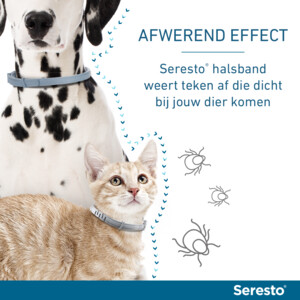 Seresto Anti Vlooien en Teken Halsband Kat tot 8 kg 38 cm
