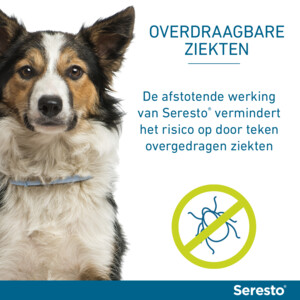 Seresto Anti Vlooien en Teken Halsband Hond Tot 8 kg 38 cm