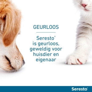 Seresto Anti Vlooien en Teken Halsband Hond Tot 8 kg 38 cm