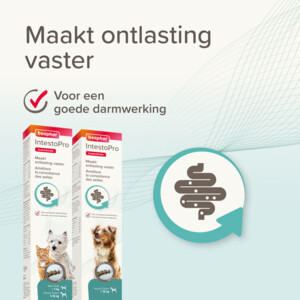 Beaphar IntestoPro Pasta Hond vanaf 15 kg 20 ml