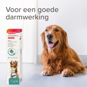Beaphar IntestoPro Pasta Hond vanaf 15 kg 20 ml