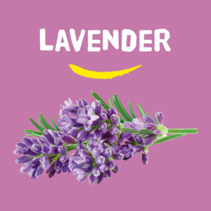 Happy Earth 100% Natuurlijke Deodorant Balm Lavender - 7.65 euro