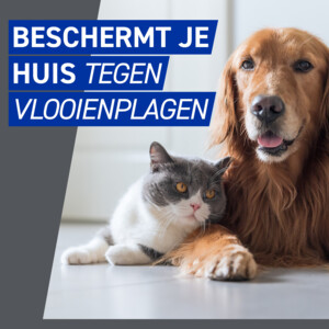 Frontline Homegard Anti Vlooien Omgevingsspray - 18.49 euro