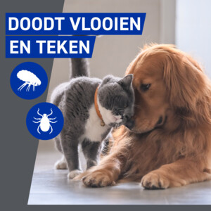 Frontline Homegard Anti Vlooien Omgevingsspray - 18.49 euro
