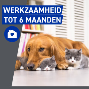 Frontline Homegard Anti Vlooien Omgevingsspray - 18.49 euro