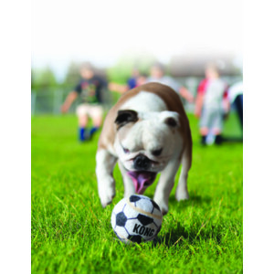 Kong Sportballen M 3 stuks