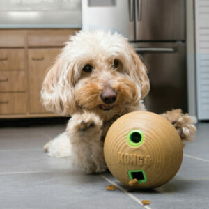 Kong Bamboo Voederbal M 