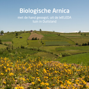 WELEDA Arnica Sport Douchegel - 5.61 euro