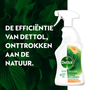 Dettol Allesreiniger Spray Mandarijn & Citroenbloesem - 5.89 euro