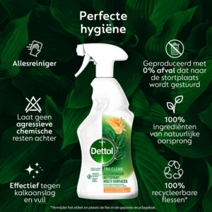 Dettol Allesreiniger Spray Mandarijn & Citroenbloesem - 5.89 euro