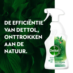 6x Dettol Allesreiniger Spray Eucalyptus - 31.65 euro