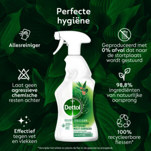 6x Dettol Allesreiniger Spray Eucalyptus - 31.65 euro