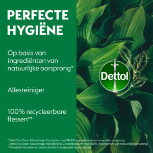 6x Dettol Allesreiniger Spray Eucalyptus - 31.65 euro