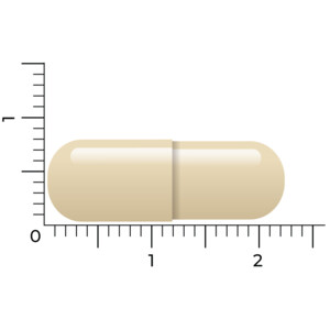 2x Vitakruid Para-DTX - 36.54 euro