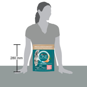 Purina ONE Adult Zalm - Volkoren Granen 800 gr