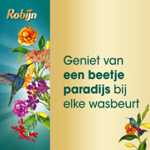 Robijn Klein & Krachtig Wasmiddel Color Paradise Secret 19 Wasbeurten - 18.39 euro