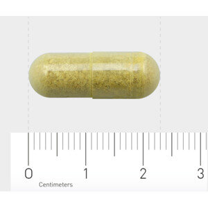 2x AOV 816 Quercetine-extract (500 mg) - 44.58 euro