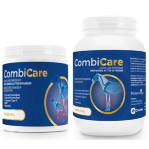 Combicare Gewrichtsproblemen 180 tabletten