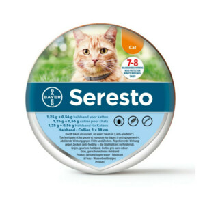 Kitten Pakket - 47.4 euro