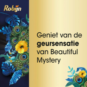 6x Robijn Klein & Krachtig Wasmiddel Black Beautiful Mystery 19 Wasbeurten - 29.99 euro
