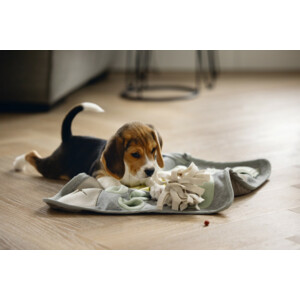 Beeztees Puppy Doeka Snuffelmat Grijs - 22.8 euro