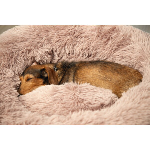 Beeztees Hondenmand Yali Pluche Beige 70 cm
