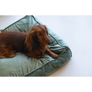 Designed by Lotte Ligkussen Nalino Hond Groen 70 x 55 x 15