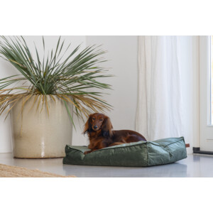 Designed by Lotte Ligkussen Nalino Hond Groen 70 x 55 x 15
