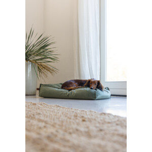 Designed by Lotte Ligkussen Nalino Hond Groen 70 x 55 x 15