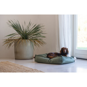 Designed by Lotte Ligkussen Nalino Hond Groen 70 x 55 x 15