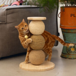 Designed by Lotte Krabbollen Hout Elio 