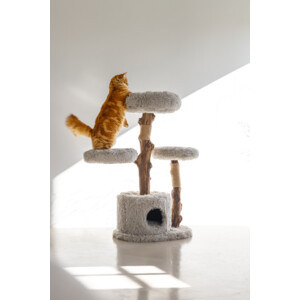 Designed by Lotte Krabmeubel Hout Ziza 60 x 45 x 100 cm