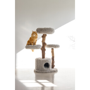 Designed by Lotte Krabmeubel Hout Ziza 60 x 45 x 100 cm
