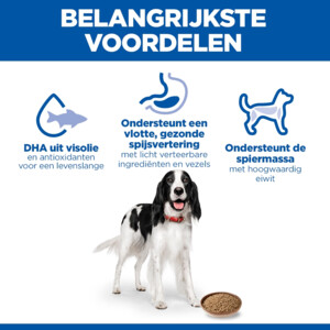 Hill's Science Plan Hondenvoer Adult Kip 370 gr